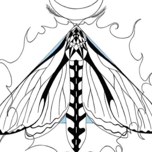 Cosmoths