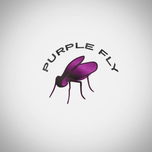 Purple Fly