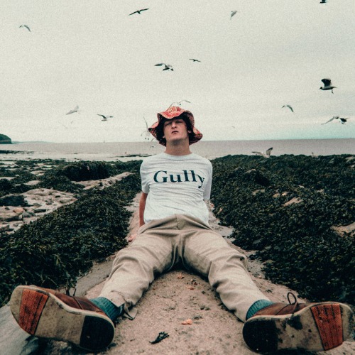Gully