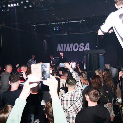 Mimosa