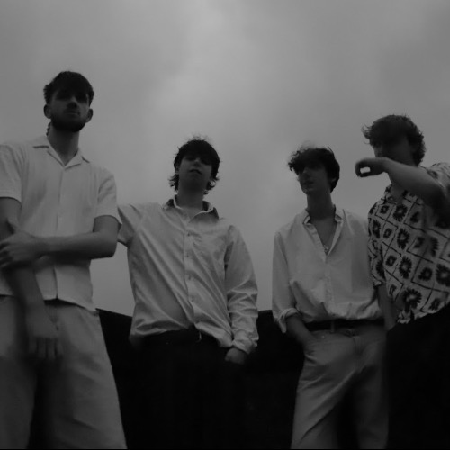 The Vivas