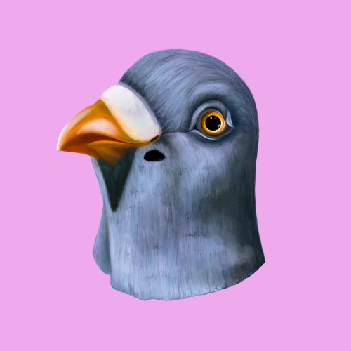 Still Pigeon