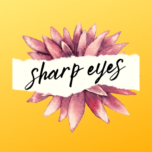 sharp-eyes-hotvox