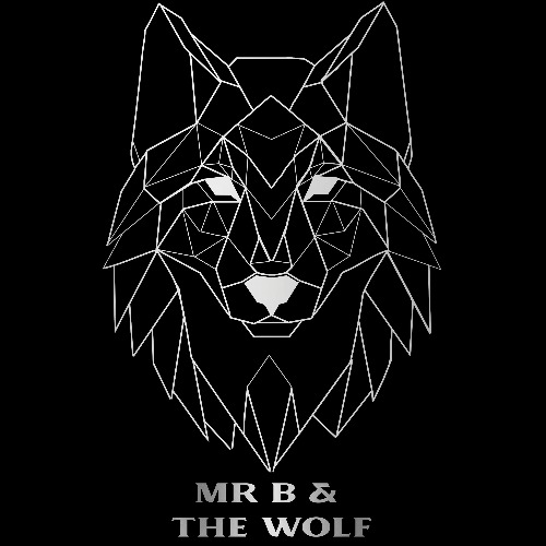 Mr B and The Wolf